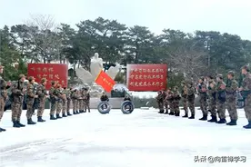 兵哥哥的花式年货“秀”——春节童谣·二十六去买肉图片