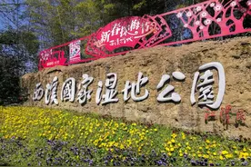 请查收“杭州之肺”的美丽春景图片