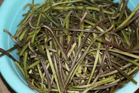 野生蔬菜——蕨苔图片