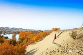 镜走葫芦岛图片