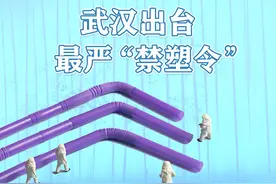 武汉出台最严“禁塑令”| 一图看懂图片