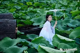 淄博高能看“海”模式启动，每一处都美到让人心醉！图片