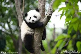 高中生物：人教社2019年版新教材的变化①图片