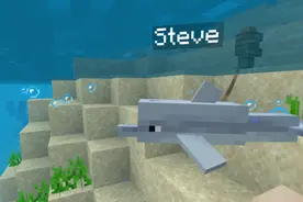 《我的世界》水下最强辅助竟是海豚？强化和寻宝都不如这项技能图片