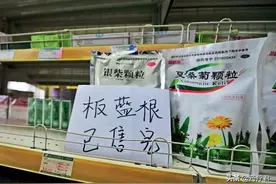 板蓝根没事喝两包？错！乱喝板蓝根，害的可是你自己图片