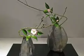 花艺必备｜盘点那些超受欢迎的日本进口花材图片