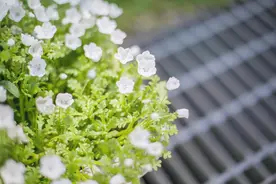 关系再好，也别轻易让亲戚住在家里，这不是心机，而是情商图片