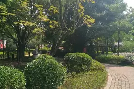 村长与翠花12图片