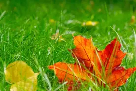 男女相处不管多爱，一旦说一句话，缘分就尽了图片