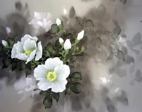散文：花开荼蘼