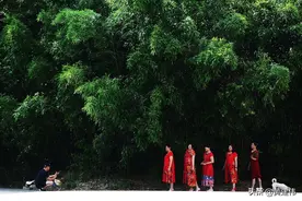 走开！走开！你走开啊！为什么你不走开？图片