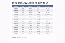 裁员过千、亏损数十亿！但也有人净利暴涨，谁是跨境吸金王？图片