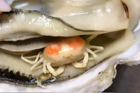 男子买烤生蚝，惊见两只奇特生物，网民却大赞可遇不可求图片