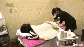 搞笑图片，猫咪被迫营业，哈哈图片