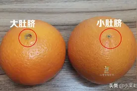 买橙子，“大肚脐”和“小肚脐”差别大，记住3点挑到好吃的橙子图片