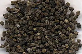 每日一中药——蚕沙图片