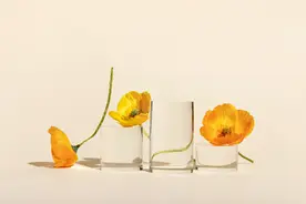 有些情话，女人觉得太“肉麻”，男人却很爱听图片