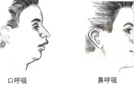 研究表明：习惯用嘴呼吸得不到更多氧气，只会让人变丑图片