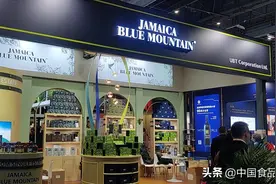 牙买加蓝山咖啡连续四年参加进博图片