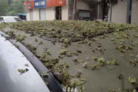 来自脚下的拷问：走路黏黏黏！到底是啥黏住了我的鞋？图片