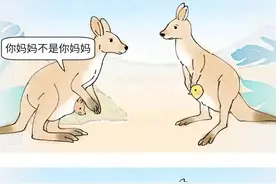 一只“代鼠”妈妈的故事…图片