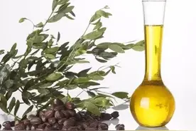 基础油是什么？如何搭配精油使用？图片