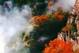 河北保定的秋（一）：秋叶图片