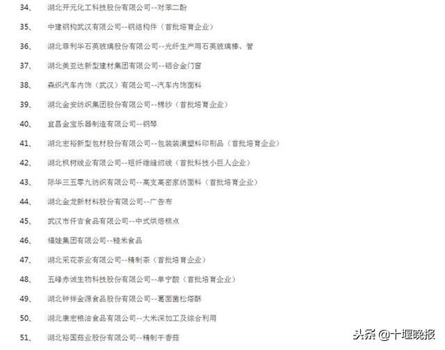 湖北第二批隐形冠军企业出炉，看看十堰有哪些企业入围？