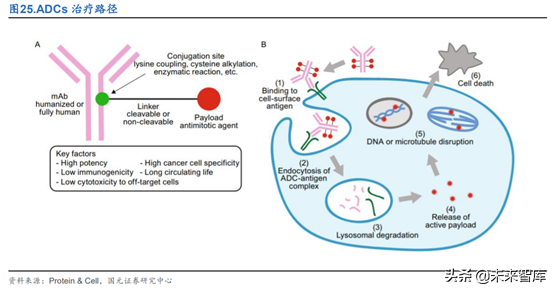 创新药之创新靶点深度研究