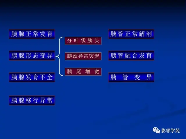 胰腺的解剖与常见变异