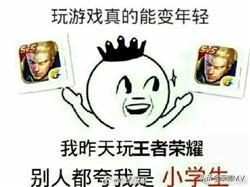 王者荣耀一键禁玩表情包搞笑版_王者荣耀禁玩表情图片
