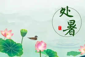 “处暑送鸭，无病各家”，处暑记得吃鸭，应季而食，安稳度秋图片