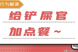 为什么猫咪总是在我吃饭的时候拉屎？图片