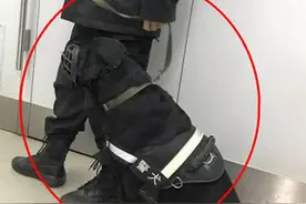 地铁上偶遇乖巧警犬，男子靠近拉近镜头时，才发现原来它很精明图片