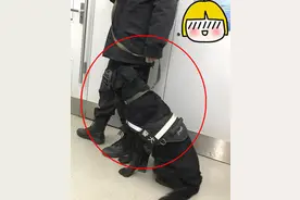 地铁上偶遇乖巧警犬，男子靠近拉近镜头时，才发现原来它很精明图片