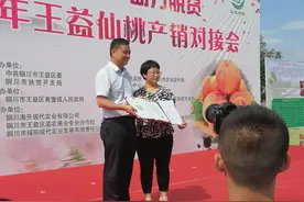 桃醉王益 助力扶贫 王益区仙桃产销对接会在孟家塬村举行图片