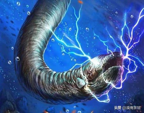 雌雄互换？放电高手？毒死自己？跟随鱼类学家体验神奇的海底世界