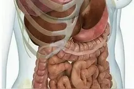 怀孕后，孕妇的内脏会有什么变化？看完就明白了，真的会特别心疼图片