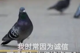 今日第二弹表情包!!速速查收图片