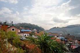 云南大山深处古村落，因种茶富甲一方，而今只剩下摇摇欲坠被遗忘图片