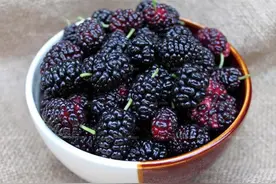 一起涨知识4：一定有你不知道的水果 尝过的告诉我什么味道吧图片