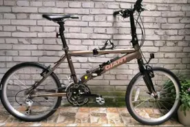 我的徒步伴侣——小轮车介绍图片