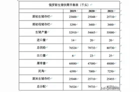 俄罗斯生猪供需与贸易形势图片