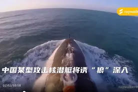 南海“猎杀海狼”视频，片中制作者得出的观点，还有待时间来证实图片