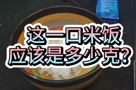 糖人杰：实测熟米饭一大口，是多少克？你每天都吃超标了吗？视频封面