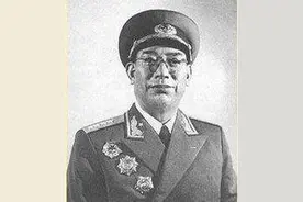 盘点一野二野三野四野十大虎将图片