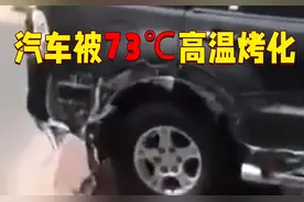 美国到底怎么了？高温致山火频发，加州出动4000只山羊“消防员”图片