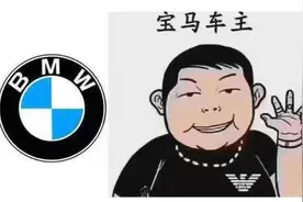 各大品牌车主自画像曝光，宝马车主最传神，“和我本人一样”图片