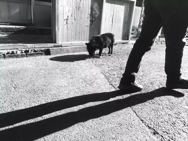 摄影人如何穿搭起来?实力摄影包推荐