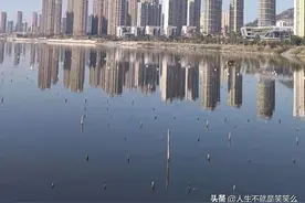 被人类遗弃的小岛——漳州港的房子到底有多空图片